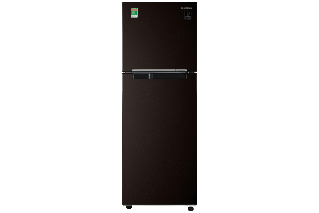 Tủ lạnh Samsung Inverter 256L RT25M4032BU/SV
