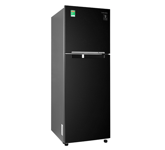 Tủ lạnh Samsung Inverter 208L RT20HAR8DBU/SV